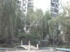 该房屋为主马路边,生活条件成熟,医院,公园。健身。