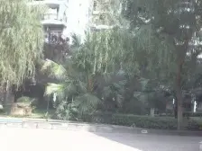 王牌路 2室2厅 东南