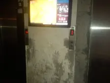 双碑 金杜阳光 正规三房 朝南 视野开阔 交通方便