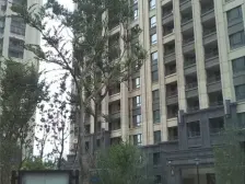 新城御府 3室2厅 南