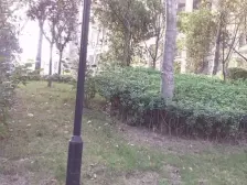 金石蓝郡 3室2厅 南