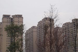 月湖公园地铁口小高层通透大三房纯板楼交通方便