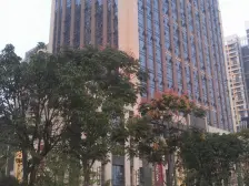 德坤新天地 1室1厅 西南