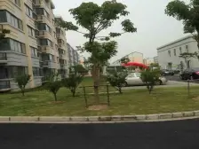 楼层好,采光好,户型正气,产权干净清晰