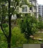 红金路 2室1厅 东南