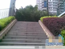 金紫山文创园 顶跃带露台花园 私家花园 视野霸道