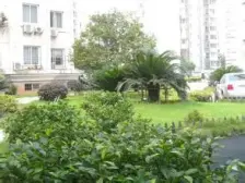 房东诚心出售,看房方便,随时可签约