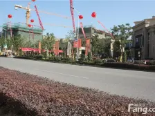 旭辉府中高楼层,电梯洋房,好房