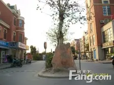 祥峰家园 大两居 低密宜居 近地铁 装修好 南北通透