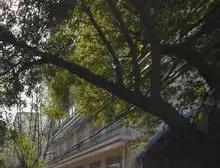 罗家塘58号南昌市委党校宿舍 南北通透,采光好 近地铁 视野好,诚心出售