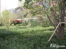 张江科学城 双子塔下 万科翡翠,双轨地铁无需购房资格