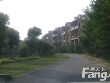 龙锦新园 4室2厅 南