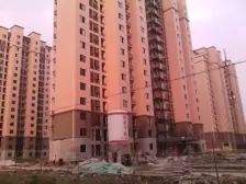 精装修 好楼层 大落地窗 采光好