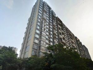 新和理想家1室1厅南北