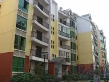 南阳锦绣 南北通透,采光好 中间楼层