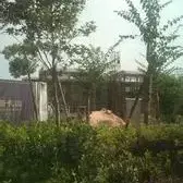 金涛御景花园 南北通透,采光好 视野好,诚心出售