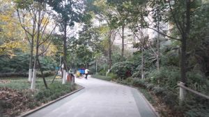 花样年花郡 2室1厅 南