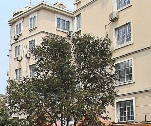长春路小区1室1卫西南朝向1600.00元/月出租