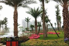 洲际银海湾 3室2厅 北 东北