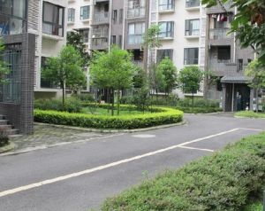 沙西明珠3室1厅东南