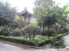 老城 金叶小区四房27.8万