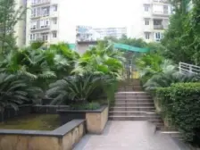 铁山坪 九里香堤别墅五房175万