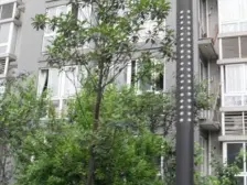 华岩新城 创豪华岩世家二房43万