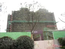 运营总力推 四房三卫 大横厅 房东诚意出售 车位 满五