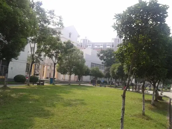 碧湖新村