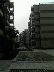 龙虎小区A区3室2厅南