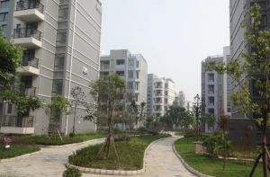 龙虎小区B区2室1厅南北