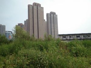 河海苑首排洋房好楼层 无遮挡 全天太阳 南北通户型