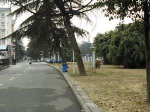 映电花园 3室1厅 南