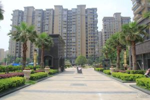 房子视野宽阔,采光佳,房东诚心出售 园林式住宅