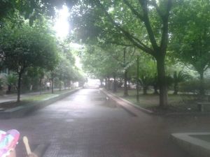 天府石油乐园3室1厅南