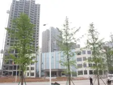 金江港湾大两房 采光好 户型方正 业主诚心出售