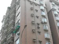 天星桥都市花园大平层五房业主诚心出售