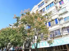 不靠路,很安静,楼层好,老少皆宜