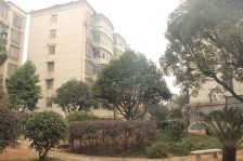 城东 地区医院 诗墙公园 万美花园 电梯精装1房