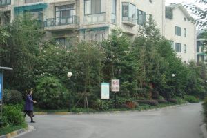 水云花都5室3厅东南