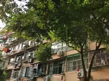 精装修,保养的很好,南北通二房,南边有个天井,可谈