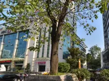 建城之星 4室1厅 东