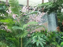 恒大御景精装3房高层,读三中,配套齐