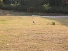 :物业系统完善常年有物业打理出入安全房东诚心出售