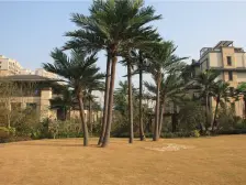 世茂大观北苑 南北通透,采光好 装修好,环镜优美 视野好,诚心出售