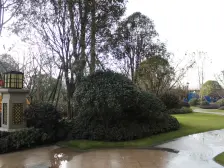 一线江景房,户型端正,小区环境良好,物业服务好