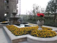 物业完善 常年有物业打理 绿化环境优美 看房方便