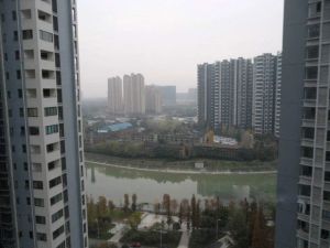 东苑F区4室2厅东西