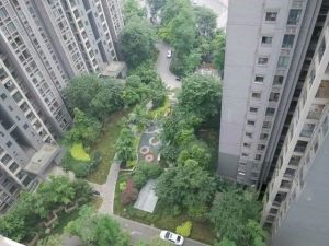 东苑F区3室1厅西