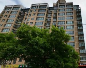 黄河北大沙坪三室两厅一卫可按揭